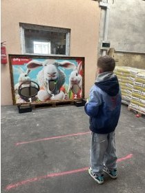 17