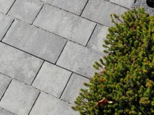 BEST BELISIMA 6cm dlažba standard bez laku colormix brilant (9m2)