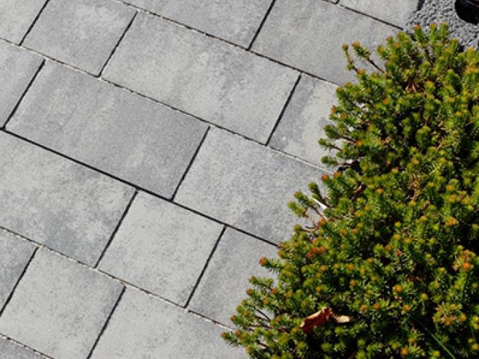 BEST BELISIMA 6cm dlažba standard bez laku colormix brilant (9m2) BEST BELISIMA 6cm dlažba standard bez laku colormix brilant (9m2) - Betonové prvky dlažby